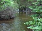 Another view from property along Grand Anse River